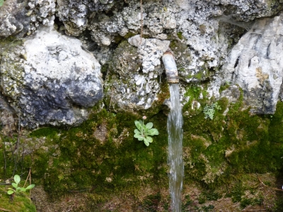 Fuente del Tío Cayo - imagen 5