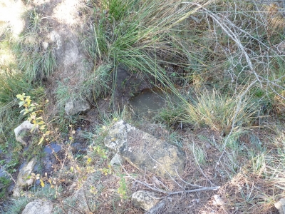 Fuente del Tío Eugenio - imagen 2