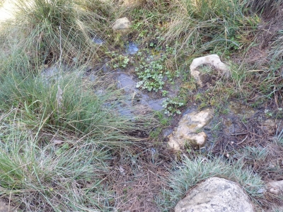 Fuente del Tío Eugenio - imagen 3
