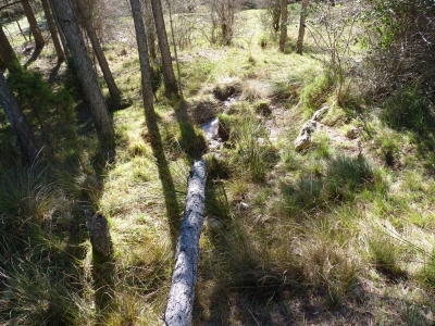 Fuente del Tío Eugenio - imagen 5