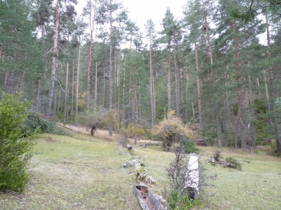 Fuente del Tío Somarro - imagen 3