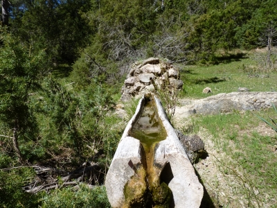 Fuente del Tío Venancio - imagen 1