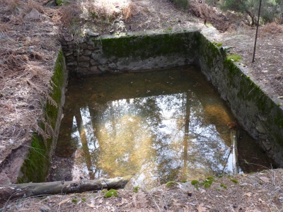 Fuente la Tocona - imagen 7