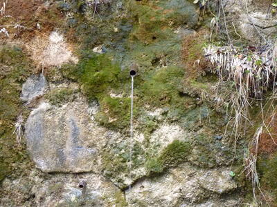 Fuente de la Torca del Agua - imagen 2