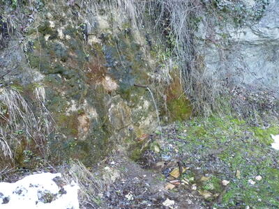 Fuente de la Torca del Agua - imagen 4