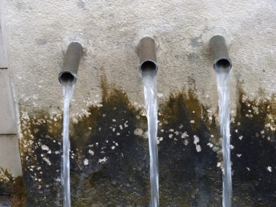 Fuente de la Noguera - imagen 4