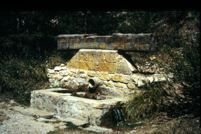 Fuente de las Vaquerizas - imagen 4