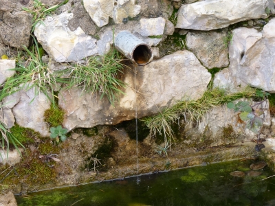 Fuente del Vaso - imagen 3
