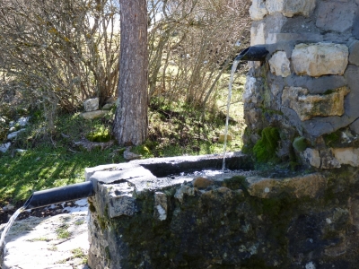 Fuente villarejo - imagen 3