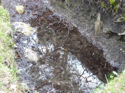 Fuente de la Zorra - imagen 2