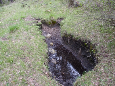 Fuente de la Zorra - imagen 3