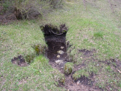 Fuente de la Zorra - imagen 4