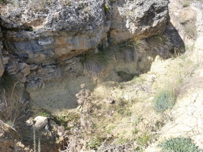 Zorra, de la - imagen 3