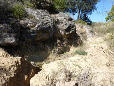 Zorra, de la - imagen 5