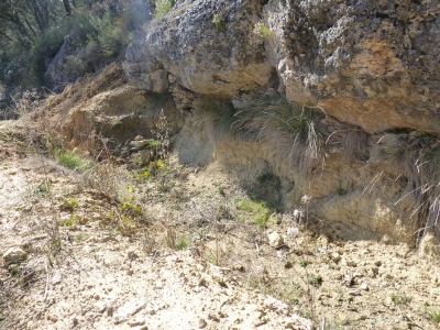 Zorra, de la - imagen 6