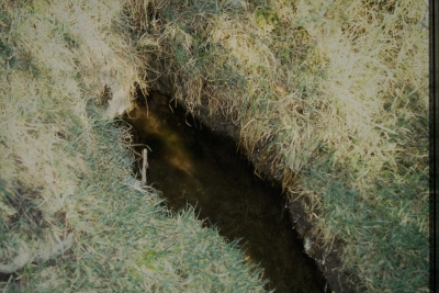 Fuente de la Zorra - imagen 1