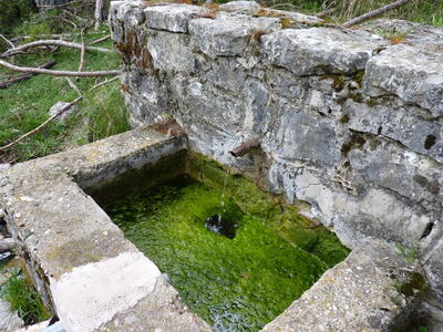 Fuente Blanca - imagen 2