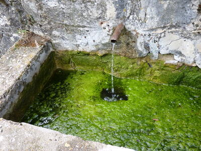 Fuente Blanca - imagen 3