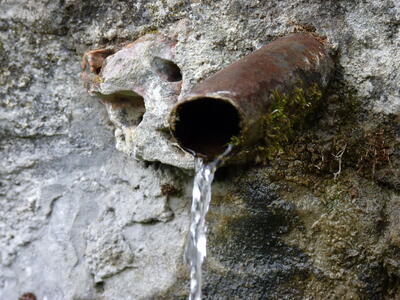Fuente Blanca - imagen 4