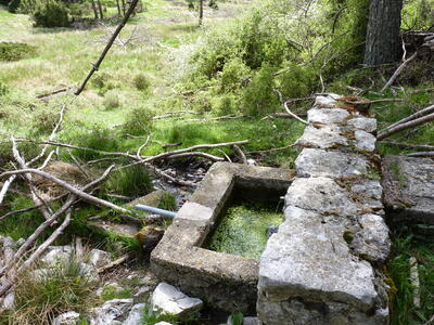 Fuente Blanca - imagen 5