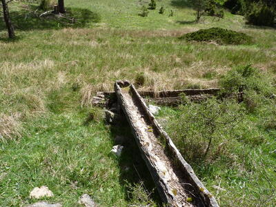 Fuente Blanca - imagen 7