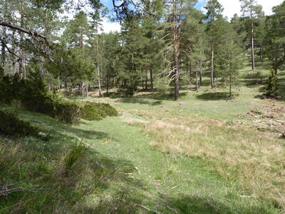 Fuente Blanca - imagen 9