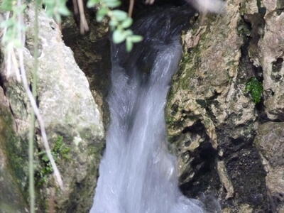Fuente de la Calzadilla I - imagen 4