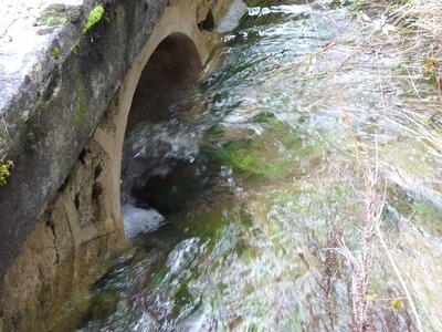 Fuente de la Calzadilla I - imagen 6