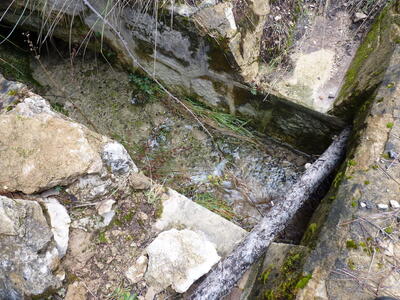 Fuente de la Calzadilla II - imagen 3