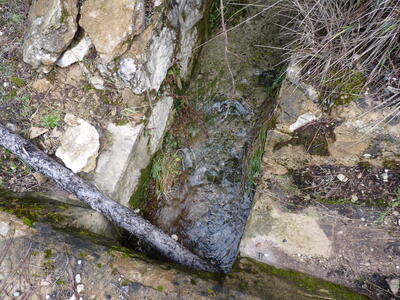 Fuente de la Calzadilla II - imagen 4