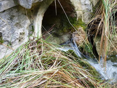 Fuente de la Calzadilla II - imagen 6