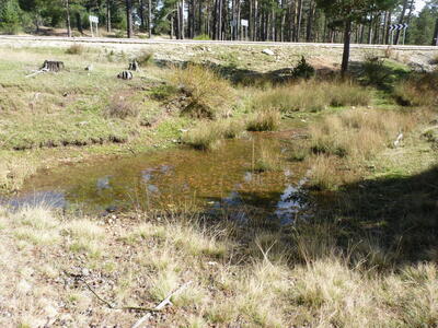 Fuente del Conillo I - imagen 1