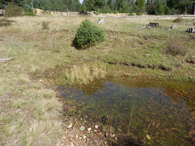 Fuente del Conillo I - imagen 3