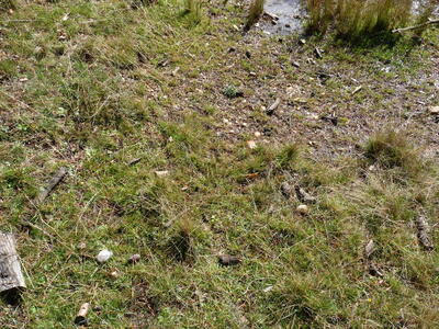 Fuente del Conillo I - imagen 4