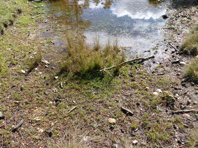 Fuente del Conillo I - imagen 5
