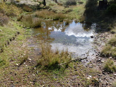 Fuente del Conillo I - imagen 6