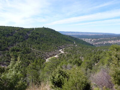 Fuente de la Galletera II - imagen 8
