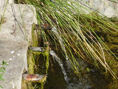 Fuente de la Herrería - imagen 5