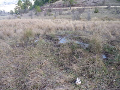 Manantial del Rincón de Cañahonda - imagen 1
