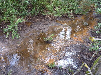 Fuente del Pino Agachao - imagen 2