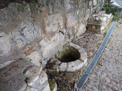 Fuente del Piojo - imagen 2