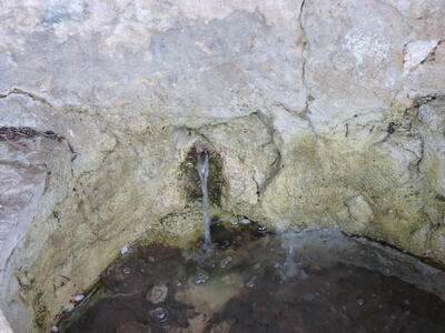 Fuente del Piojo - imagen 5