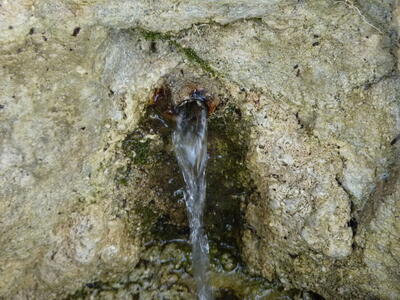 Fuente del Piojo - imagen 6