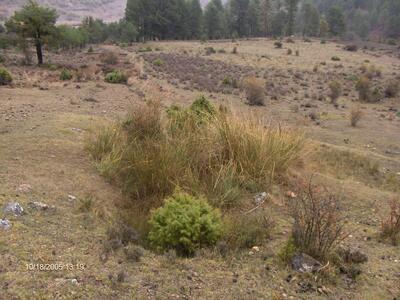 Fuente del Rincón de Cañahonda - imagen 1