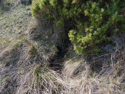 Fuente del Rincón de Cañahonda - imagen 2