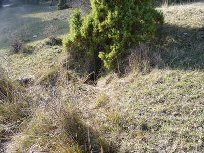 Fuente del Rincón de Cañahonda - imagen 4
