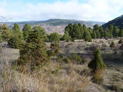 Fuente del Rincón de Cañahonda - imagen 5