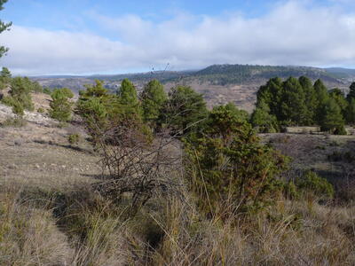 Fuente del Rincón de Cañahonda - imagen 6