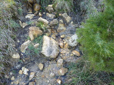 Sin nombre 04042024-2 - imagen 5