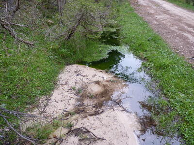 Sin nombre 08052026-2 - imagen 5